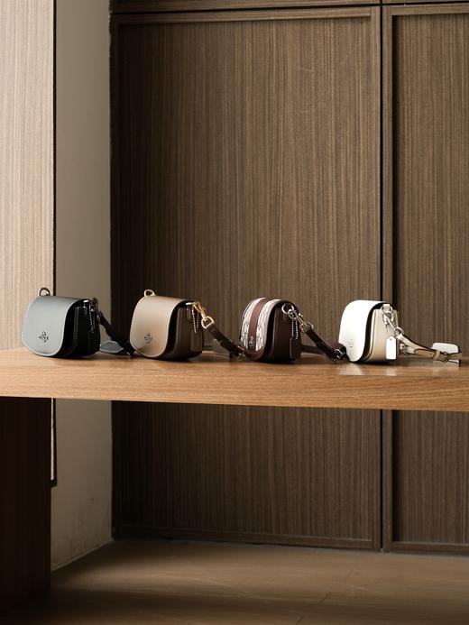 蔻驰 老家经典ANDREA单肩包腋下包小号（SS） 商品图3