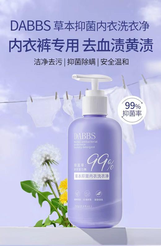 草本抑菌内衣洗衣净250ml洗衣液 商品图0
