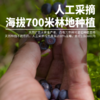 莓日悠果长白山蓝莓果干蔓越莓果干东北特产无油浸非糖腌制果干0零脂肪125g 商品缩略图2