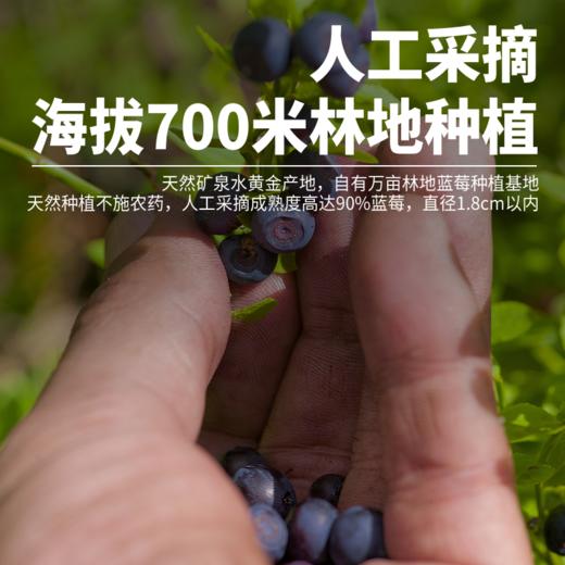 莓日悠果长白山蓝莓果干蔓越莓果干东北特产无油浸非糖腌制果干0零脂肪125g 商品图2
