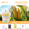 【科学种植❗植物生长观察盒】轻松种植好养活，让孩子感受生命的奇妙，提升动手能力，亲子互动，科学作业植物生长观察盒儿童种植迷你小盆栽幼儿园小学QQ 商品缩略图12