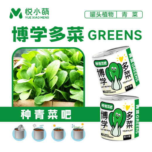 【2罐更划算❗绿植桌面罐头】网红办公室绿植桌面，易种易养活，体验植物生长乐趣，罐头植物幸运草向日葵种子儿童种植迷你小盆栽QQ 商品图7