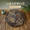 云南大叶种寿眉老白茶100克/饼醇厚回甘更耐泡 商品缩略图1