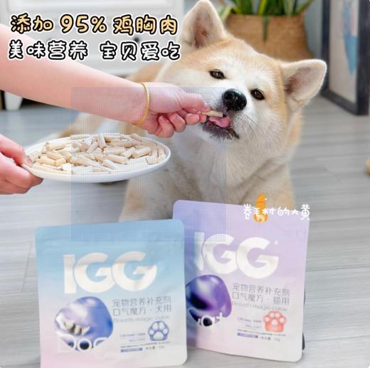 MAG口气魔方犬猫用口气清新口臭调理肠胃冻干零食 商品图0