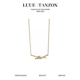 蒂芙尼 knot系列 经典缠绕绳结项链（XTY）