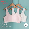 【2件盒装】熳洁儿 无缝少女围二阶段12-14岁背心式文胸商场同款24201613 商品缩略图0
