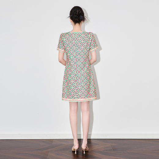 「高货wl」全新升级【铂金会员293/天猫389/差价96】(35156)洛诗琳气质印花连衣裙2025夏季新款时尚圆领显瘦直筒裙 商品图1