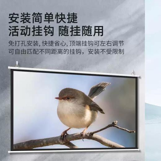 【免打孔光子投影幕】电影投屏便携抗光车载尺寸50金属60户外40光子小投影仪幕布宿舍，轻松打造专属你的影院。y 商品图4