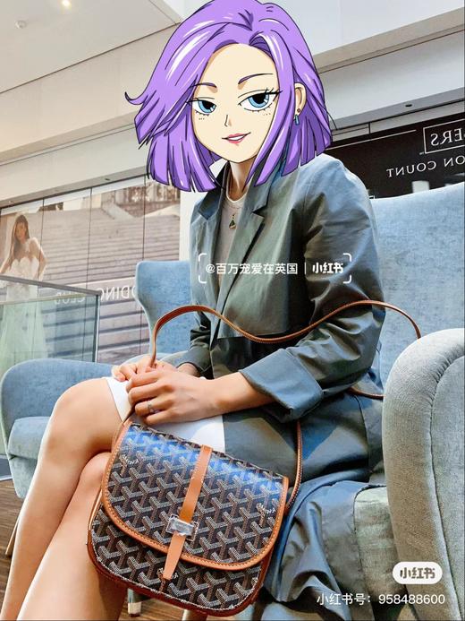 戈雅 马鞍包/邮差包四色现货 （XS） 商品图9