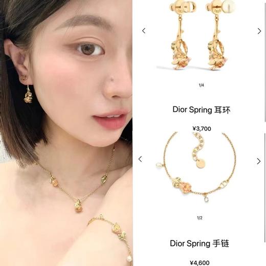 迪奥  玫瑰花藤  珐琅耳环  （XTY） 商品图1