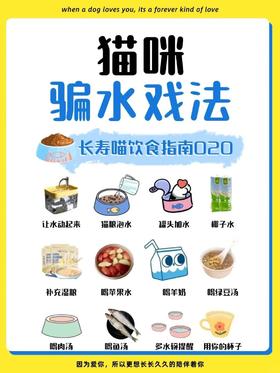 12种猫咪骗水戏法，这下该喝水了把！