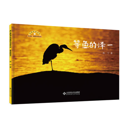 等鱼的泽一 商品图0