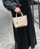 COACH/蔻驰代工厂出货 mini city托特包（SS） 商品缩略图0