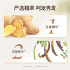 蜂花 植物去屑生姜精华洗发露400ml*1瓶 110058001 商品缩略图2