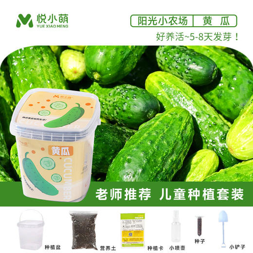 【科学种植❗植物生长观察盒】轻松种植好养活，让孩子感受生命的奇妙，提升动手能力，亲子互动，科学作业植物生长观察盒儿童种植迷你小盆栽幼儿园小学QQ 商品图9