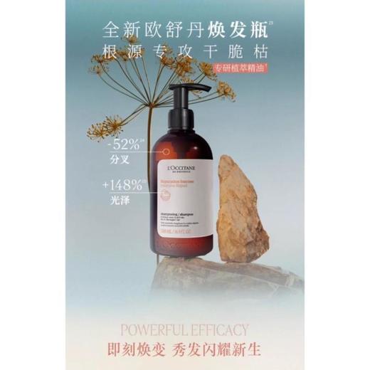 1楼欧舒丹修护洗发 商品图0