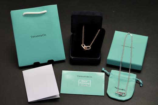 蒂芙尼 hardwear马蹄双环半钻项链 双色（XTY） 商品图1