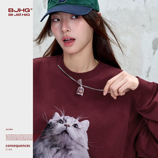 BJHG不计后果 小猫长袖t恤男款秋季美式宽松休闲暖皮恒温情侣卫衣 商品图2