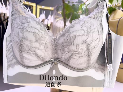 迪兰多内衣小胸中厚杯舒适款无钢圈聚拢大包容小胸显大2118456 商品图8