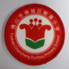 通版佛山市禅城区敦厚小学包边校徽校礼服姓名贴章可缝烫现货发51 商品缩略图0