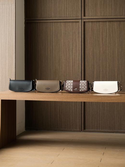 蔻驰 老家经典ANDREA单肩包腋下包小号（SS） 商品图2