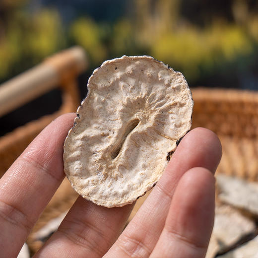 【云南玛卡干片】人工筛选 产地选材 不熏不染 切片均匀 片片完整 吃法多样 100g/瓶 商品图1