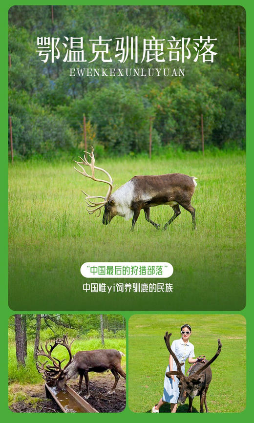 【乌兰布统草原·越野穿越3日】浑善达克沙地+原生态草原双程越野穿越+影视基地+公主湖+赏草原日出日落+28人纯玩精品团 商品图0