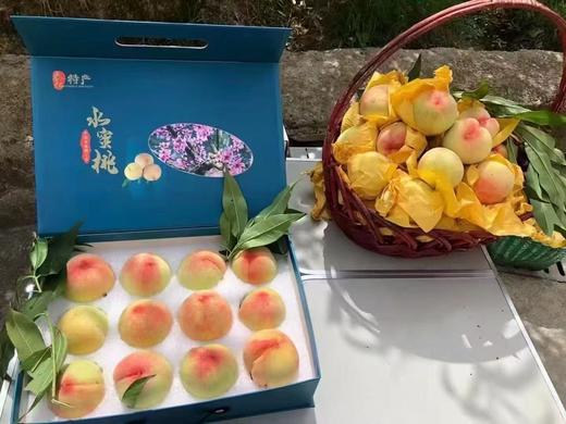 新鲜水果-奉化水蜜桃5斤左右【SP】 商品图0