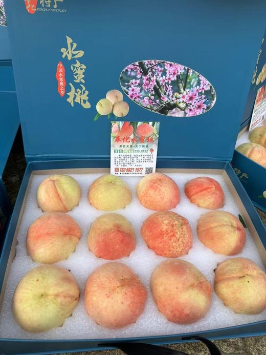 新鲜水果-奉化水蜜桃5斤左右【SP】 商品图7