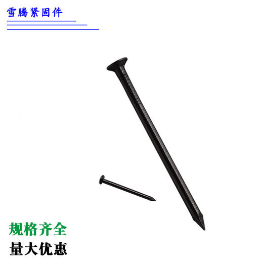 铁钉散装圆钢钉大长木工钉子小洋钉圆头 500g 商品图2