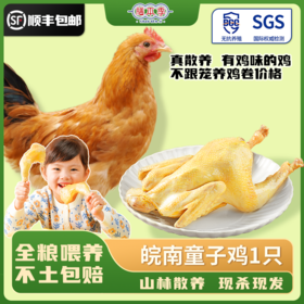 阿林甄选山林散养童子鸡(清蒸/红烧/小炒）