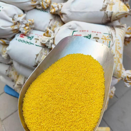 【沁州黄有机小米】五谷杂粮是家中必备。胃不好的，可以长期吃小米，早餐必备单品💥，耐储存，送人自留都🉑 商品图5