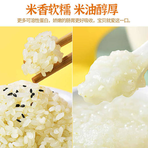 人民食品有机胚芽米1.25kg 商品图2
