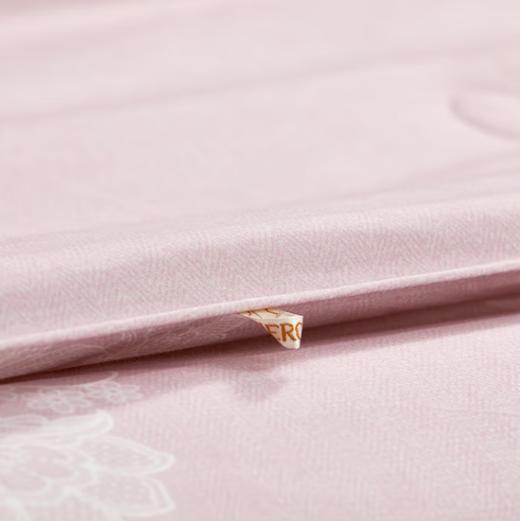 【水星家纺蚕丝被】春秋被双人被子DH【线下专柜同款】 清雅丝韵蚕丝被HD 200X230cm/条 商品图4