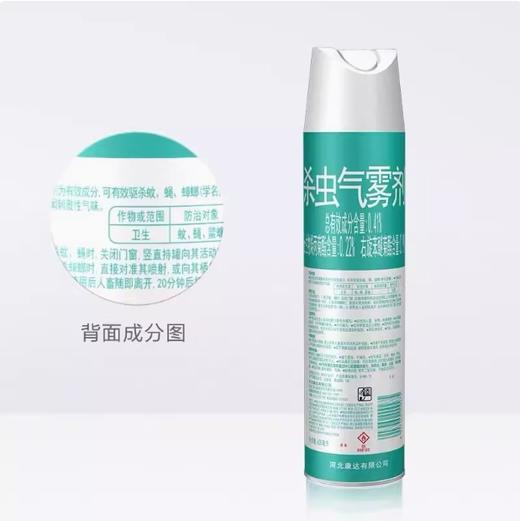 【JL】600ml枪手无味杀虫剂 商品图1
