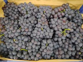 玫瑰香葡萄2斤