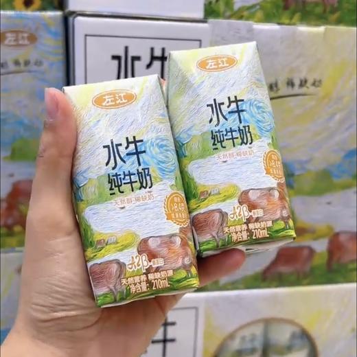 左江A2-β酪蛋白水牛纯牛奶8.4g蛋白质儿童营养早餐奶 商品图7