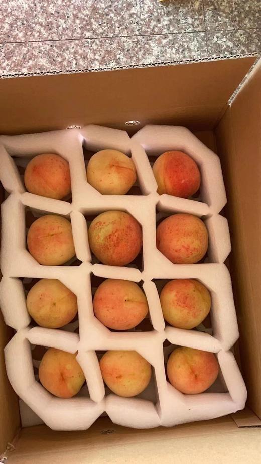 新鲜水果-奉化水蜜桃5斤左右【SP】 商品图1