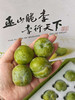 ✈️顺丰包邮到家，巫山脆李，三峡库区核心产区，阳光雨露滋养，颗颗饱满，皮薄肉厚，脆到心坎里！清甜爆汁，冰镇后更绝！消暑解腻就靠它！净果4.5斤 商品缩略图1