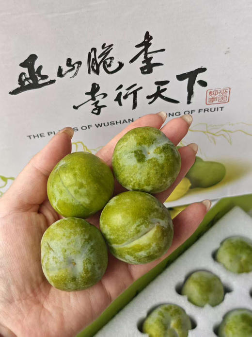 ✈️顺丰包邮到家，巫山脆李，三峡库区核心产区，阳光雨露滋养，颗颗饱满，皮薄肉厚，脆到心坎里！清甜爆汁，冰镇后更绝！消暑解腻就靠它！净果4.5斤 商品图1