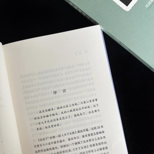 出走 女性青春成长三部曲 情感控制家庭束缚女性主义文学后浪正版 商品图2