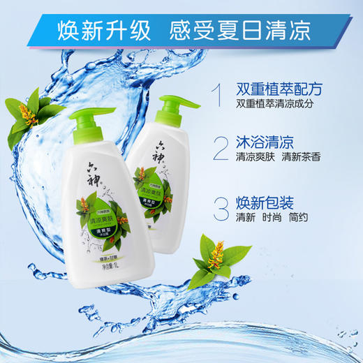 六神喷雾驱蚊花露水80ml+六神清凉爽肤沐浴露750G+家安洁厕霸227g【宝库优选】 商品图1