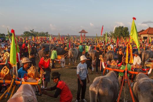 8.23确定出发【印尼巴厘】马克普奔牛祭•钢芭图尔火山•卡朗库塔巴东沙滩7天摄影团<环球寻梦> 商品图8