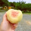 新鲜水果-奉化水蜜桃5斤左右【SP】 商品缩略图5