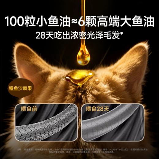 喵铮铮50＆100粒鱼油啵啵全价鲜肉主食罐鱼油美毛营养罐头 成幼猫推荐 商品图3