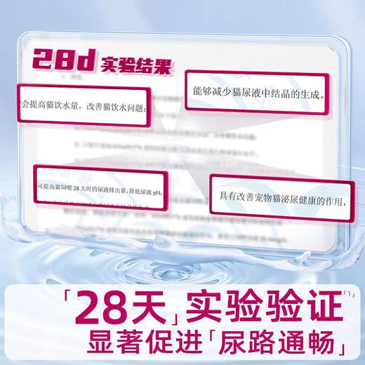 vetwish唯特适 宠物泌尿片 80粒/瓶 商品图2