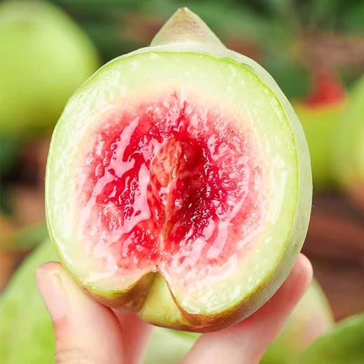 鹰嘴桃 约1000g/份 商品图3