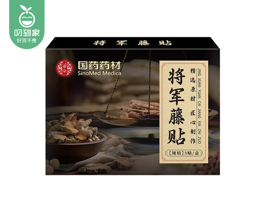 国药药材将军藤贴/1份（3贴*2盒）限用日期：27年1月补单专用 商品图4