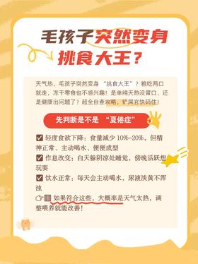 毛孩子突然变身挑食大王？？？