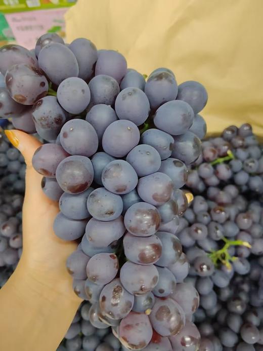 玫瑰香葡萄2斤 商品图1